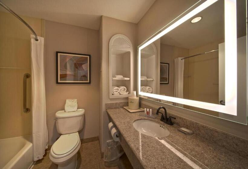 Номер Стандарт, Wingate By Wyndham Houston Bush Intercontinental Airport