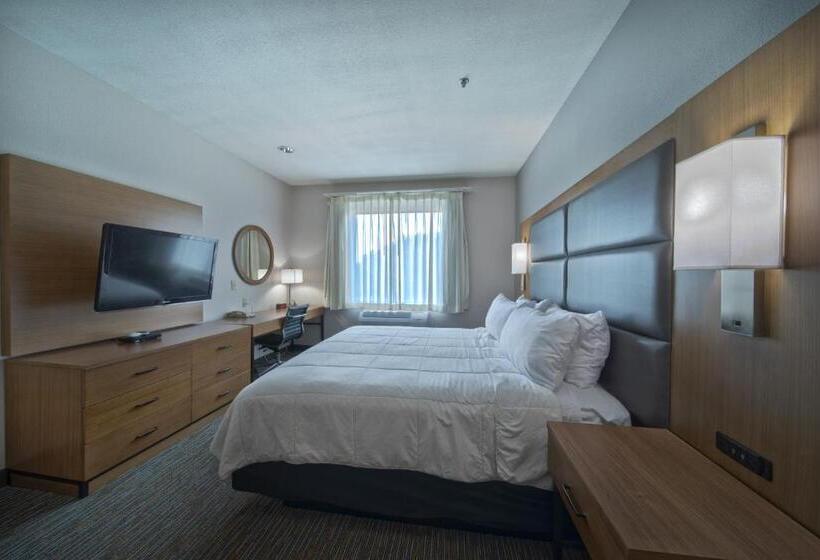 اتاق استاندارد با تخت بزرگ برای معلولان, Wingate By Wyndham Houston Bush Intercontinental Airport