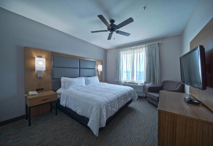 Номер Стандарт Кровать Кинг Адаптированный для Инвалидов, Wingate By Wyndham Houston Bush Intercontinental Airport