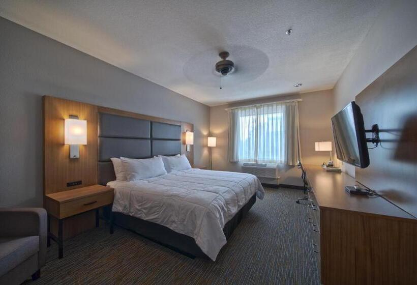 سوئیت برای معلولان, Wingate By Wyndham Houston Bush Intercontinental Airport