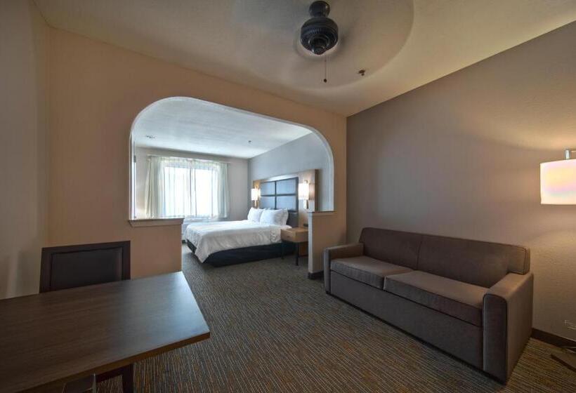 Люкс Адаптированный для Инвалидов, Wingate By Wyndham Houston Bush Intercontinental Airport