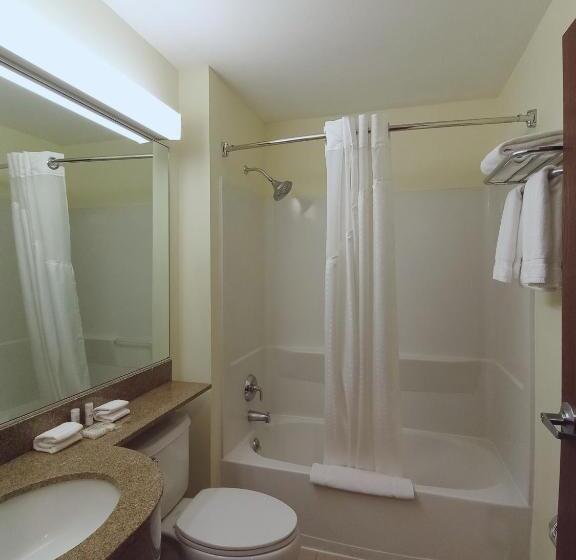 スイート, Microtel Inn And Suites By Wyndham Toluca