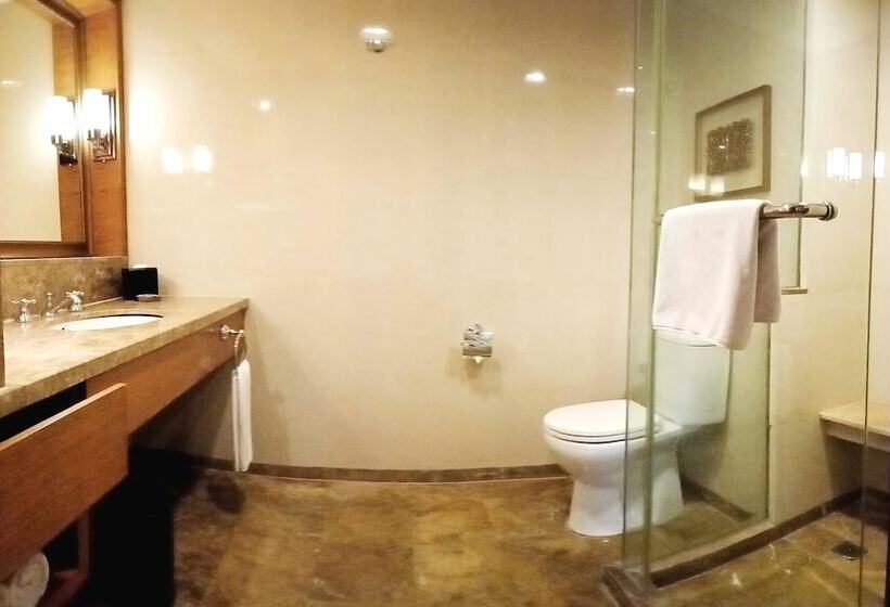 Номер Deluxe, Aryaduta Medan