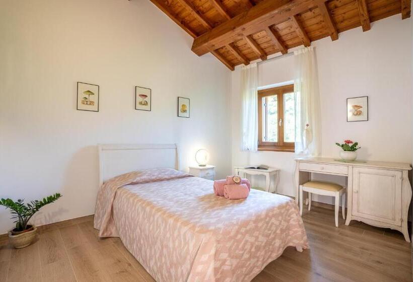 스탠다드 싱글 룸, Agriturismo Ai Dossi