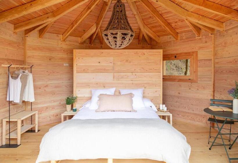 سوییت, Nits De Bosc
