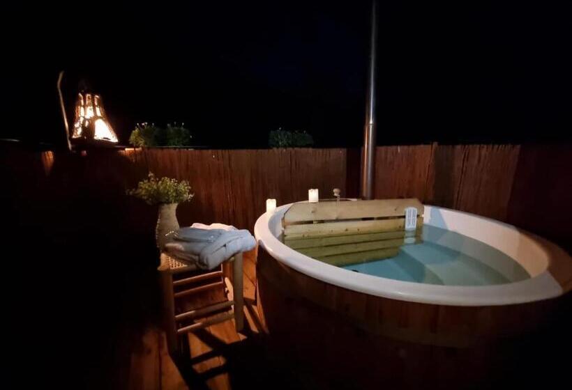 اتاق لوکس, Nits De Bosc