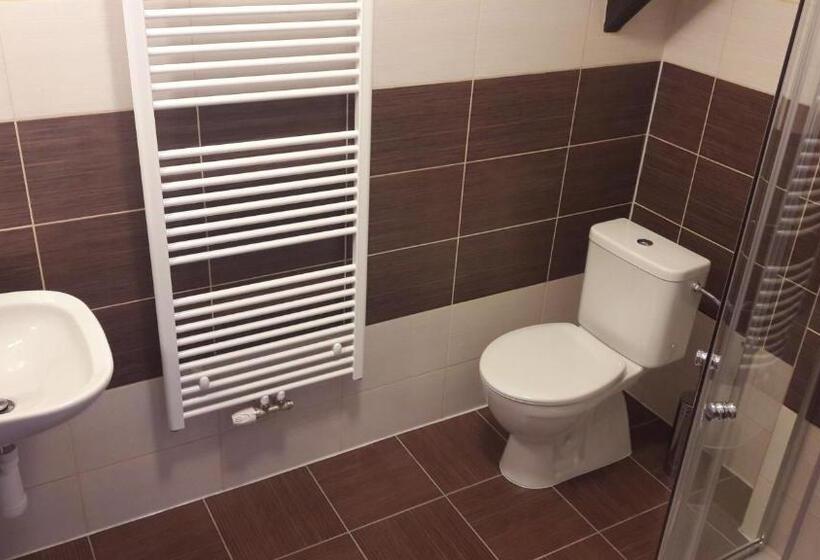 اتاق استاندارد, Penzion Rozhovice