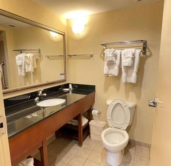 Номер Стандарт 2 Двуспальные Кровати, Comfort Suites Fredericksburg North