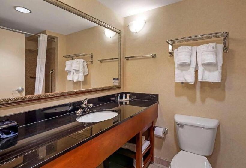 Люкс, Comfort Suites Fredericksburg North