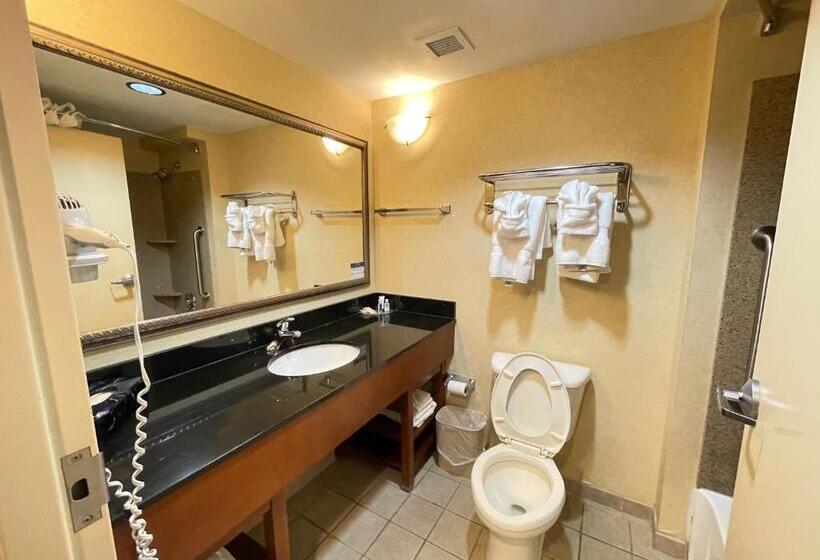 Люкс, Comfort Suites Fredericksburg North