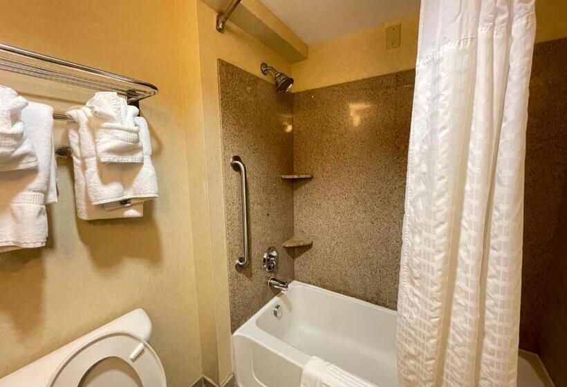 Люкс Кровать Кинг, Comfort Suites Fredericksburg North