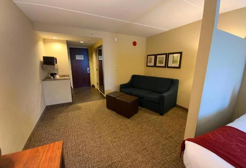 Люкс Кровать Кинг, Comfort Suites Fredericksburg North