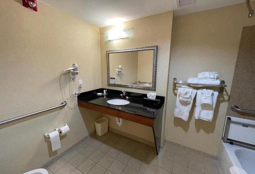 Номер Стандарт Кровать Кинг Адаптированный для Инвалидов, Comfort Suites Fredericksburg North