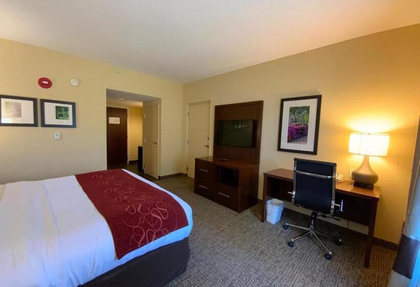 Номер Стандарт Кровать Кинг Адаптированный для Инвалидов, Comfort Suites Fredericksburg North