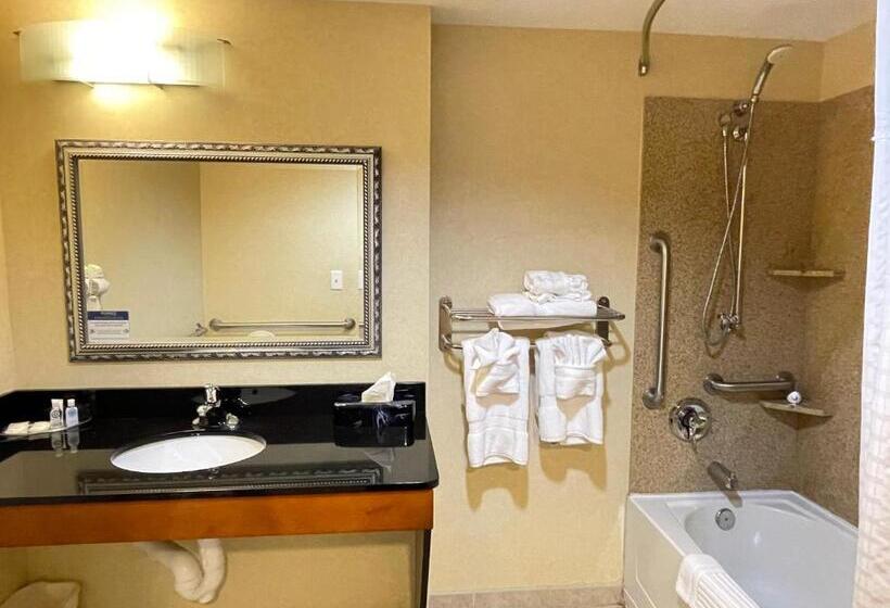 Люкс Адаптированный для Инвалидов, Comfort Suites Fredericksburg North