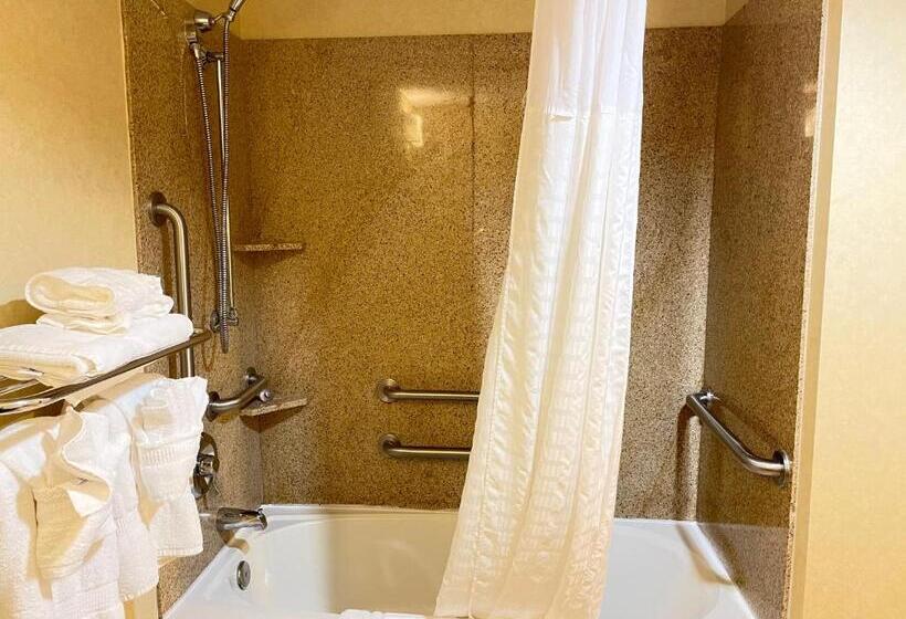 Люкс Адаптированный для Инвалидов, Comfort Suites Fredericksburg North