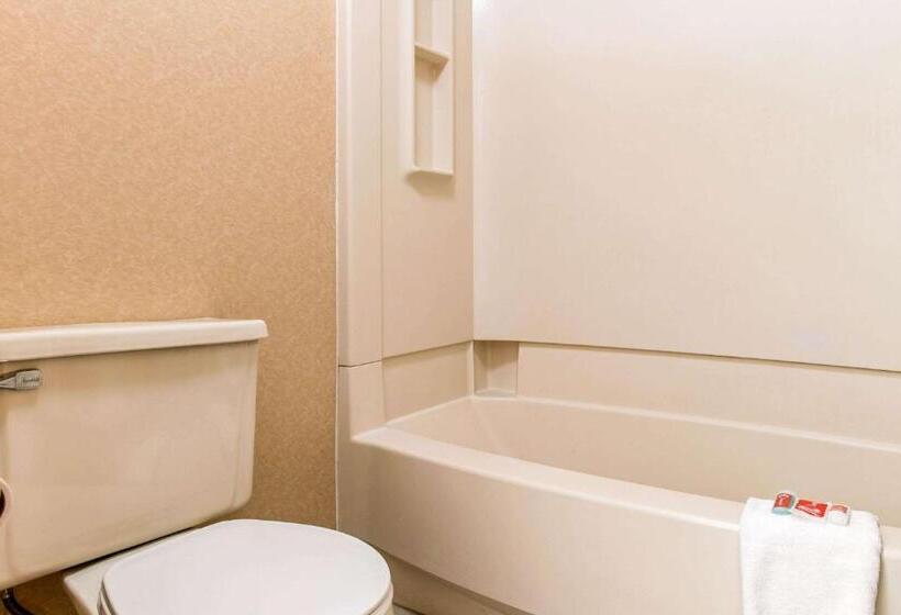 스탠다드 룸 더블 침대 2개, Econo Lodge