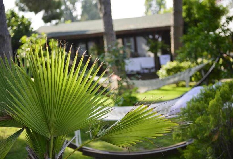 Бунгало Стандарт, Flora Garden Beach Club   All Inclusive