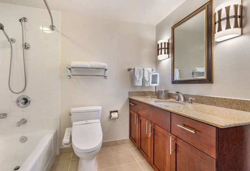 آپارتمان 2 خوابه با چشم‌انداز دریا, Hilton Grand Vacations Club At Hilton Hawaiian Village