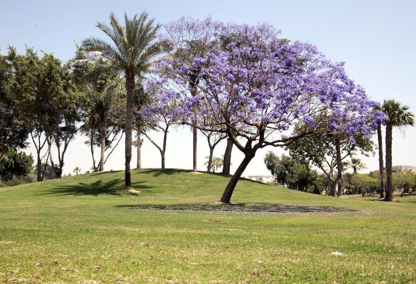 غرفة إقتصادية, Swiss Inn Pyramids Golf Resort