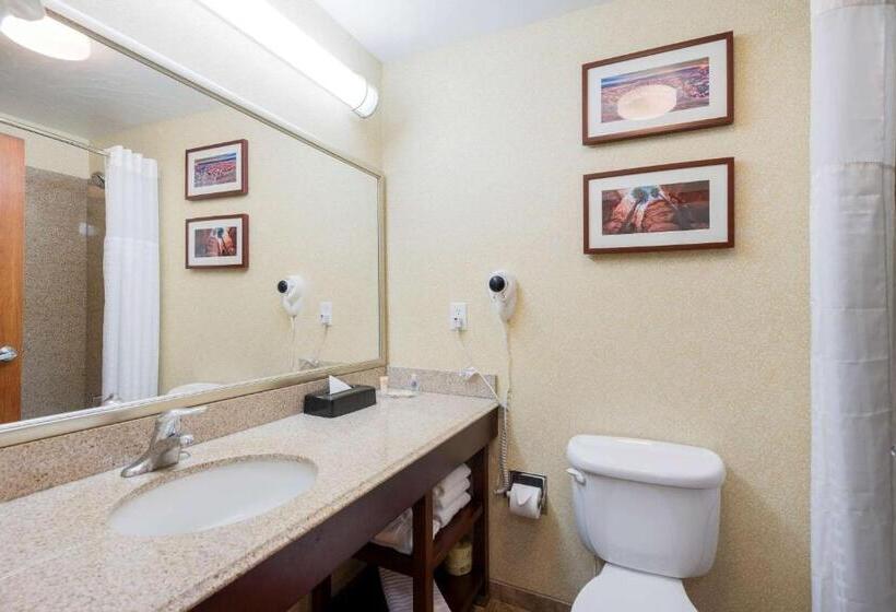 Стандартный Номер Кровать Кинг, Comfort Inn & Suites