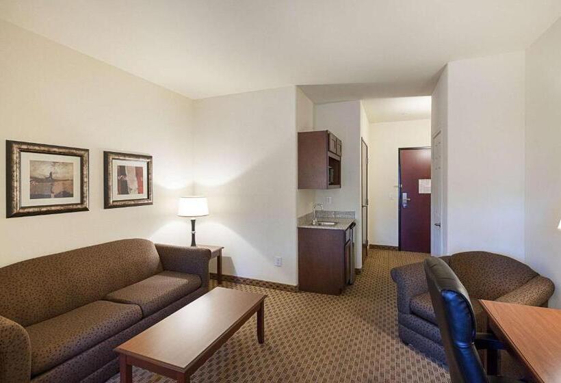 סוויטה מותאמת לאדם עם מוגבלויות, Comfort Suites San Antonio North  Stone Oak