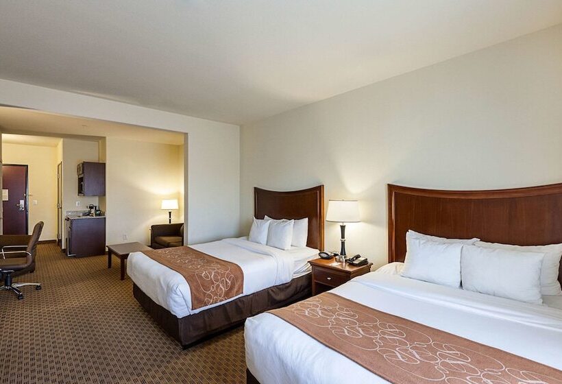 סוויטה מותאמת לאדם עם מוגבלויות, Comfort Suites San Antonio North  Stone Oak
