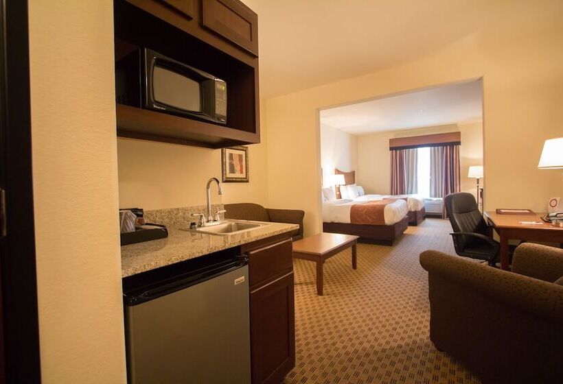 סוויטה מותאמת לאדם עם מוגבלויות, Comfort Suites San Antonio North  Stone Oak