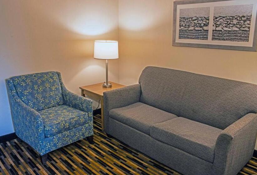 Люкс Кровать Кинг, Quality Suites Lake Wright  Norfolk Airport