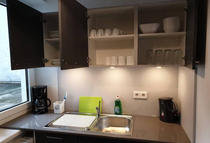 آپارتمان سوپریور 3 خوابه, Altstadt Residenz
