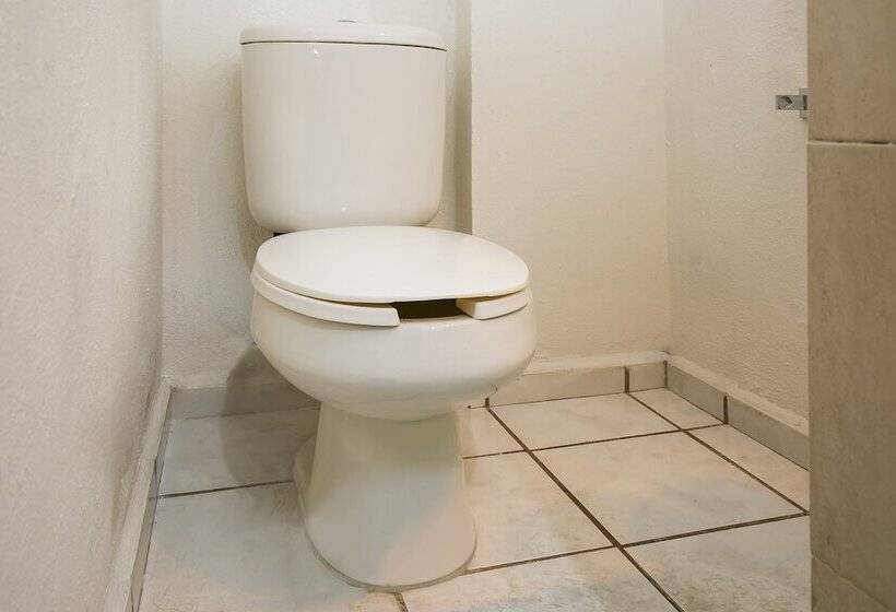 ２ダブルベッドのスタンダードルーム, Capital O Hotel Victoria Morelia