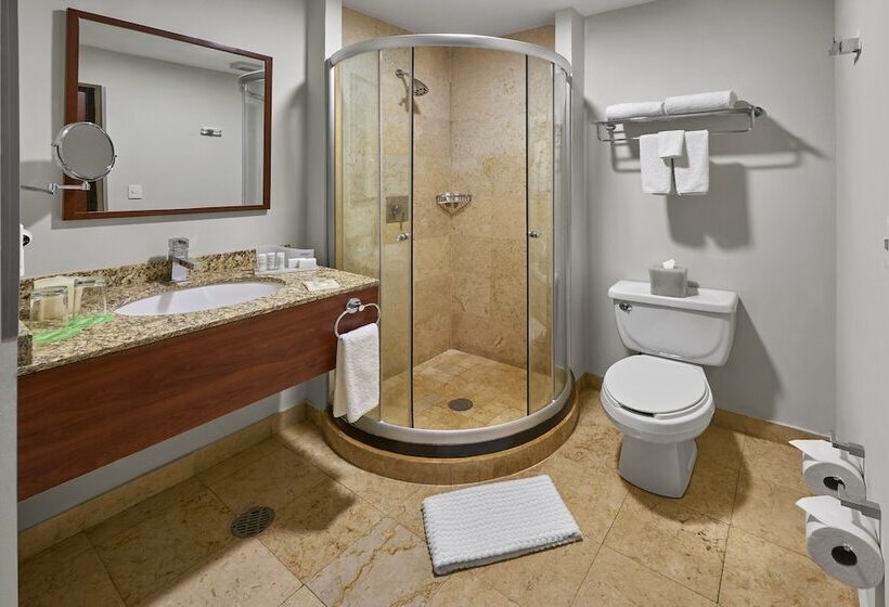 スイート, Wyndham Garden Mexico City Polanco