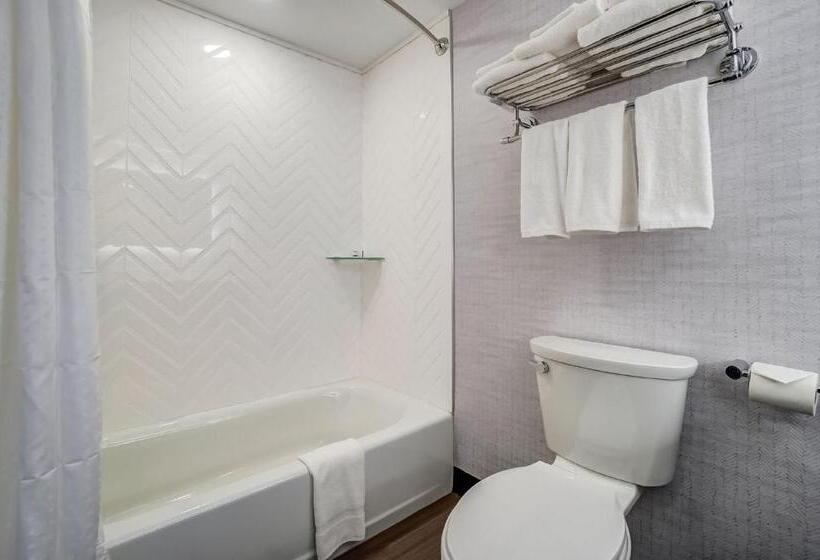 标准间, Holiday Inn Gatineau   Ottawa, An Ihg