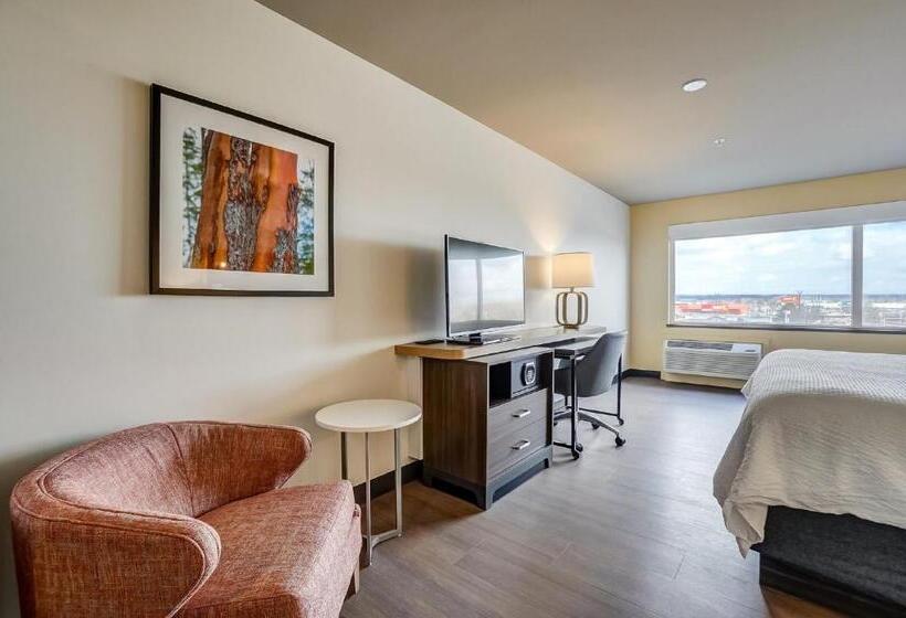 Стандартный Номер Кровать Кинг, Holiday Inn Gatineau   Ottawa, An Ihg
