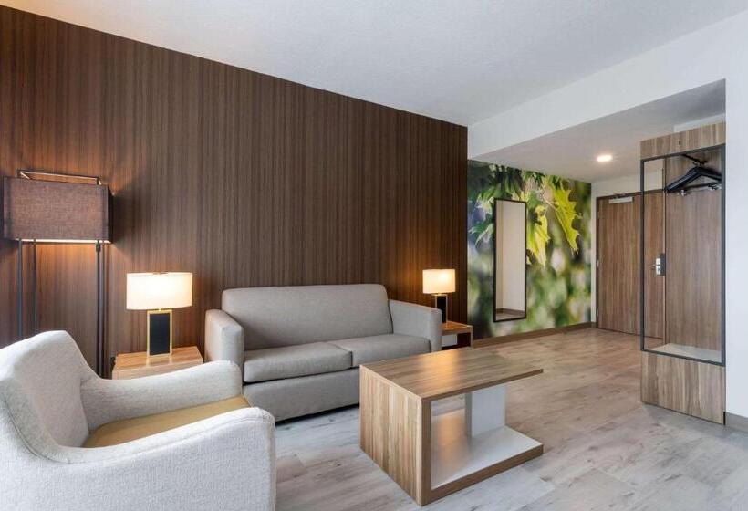Standard-invahuone King-vuode, Wyndham Garden Orlando Airport   Free Airport Shuttle