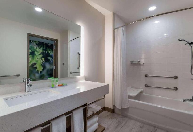 Standard-invahuone, Wyndham Garden Orlando Airport   Free Airport Shuttle