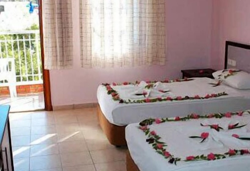 اتاق استاندارد, Tolay Hotel