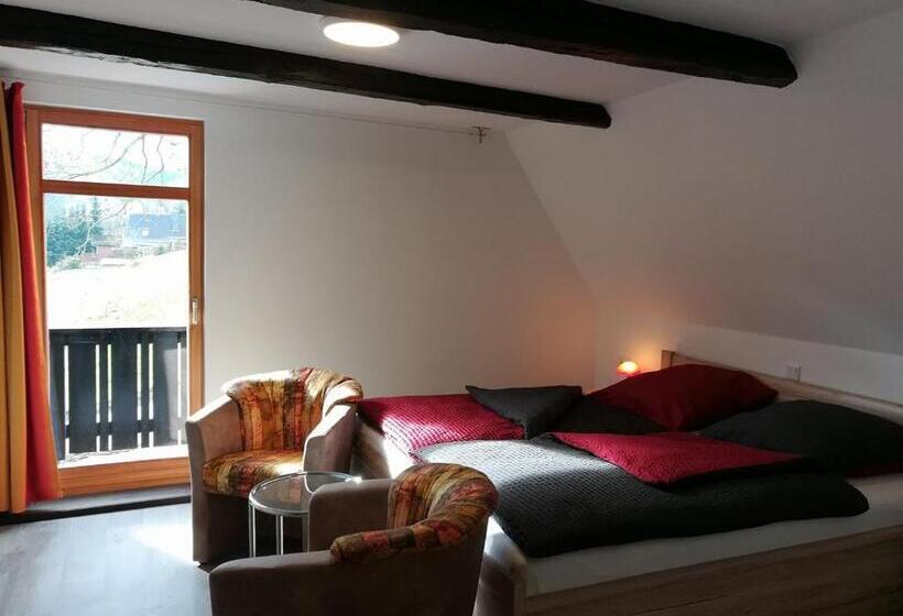 Номер Стандарт, Die Oberlochmühle Pension