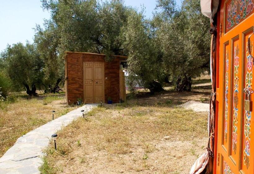 Standard Tent, Valle De Oro