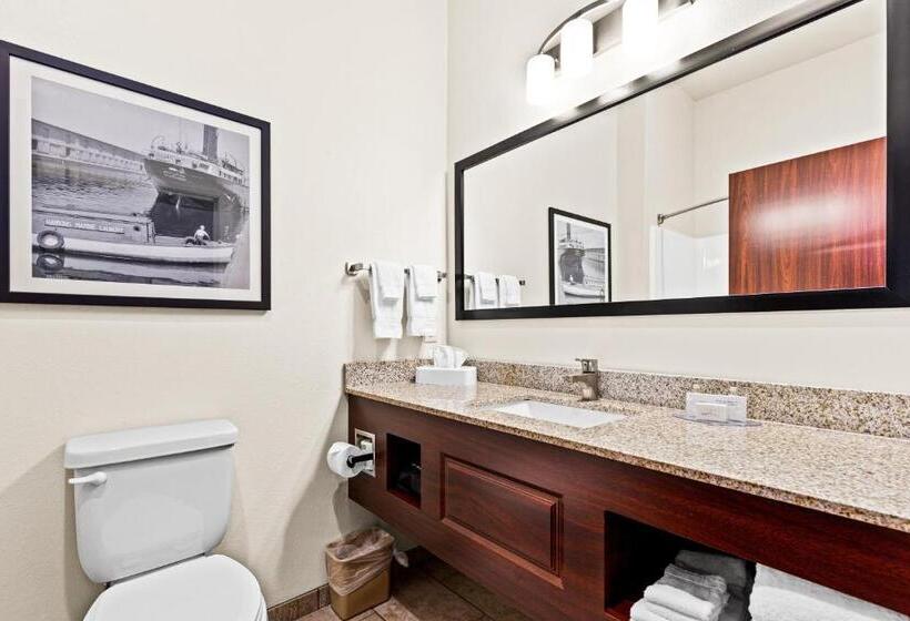 Студио Стандарт Кровать Кинг, Cobblestone Hotel & Suites   Superior Duluth