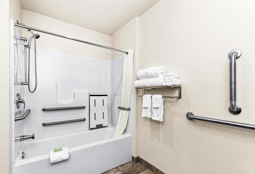 Номер Стандарт Кровать Кинг Адаптированный для Инвалидов, Cobblestone Hotel & Suites   Superior Duluth