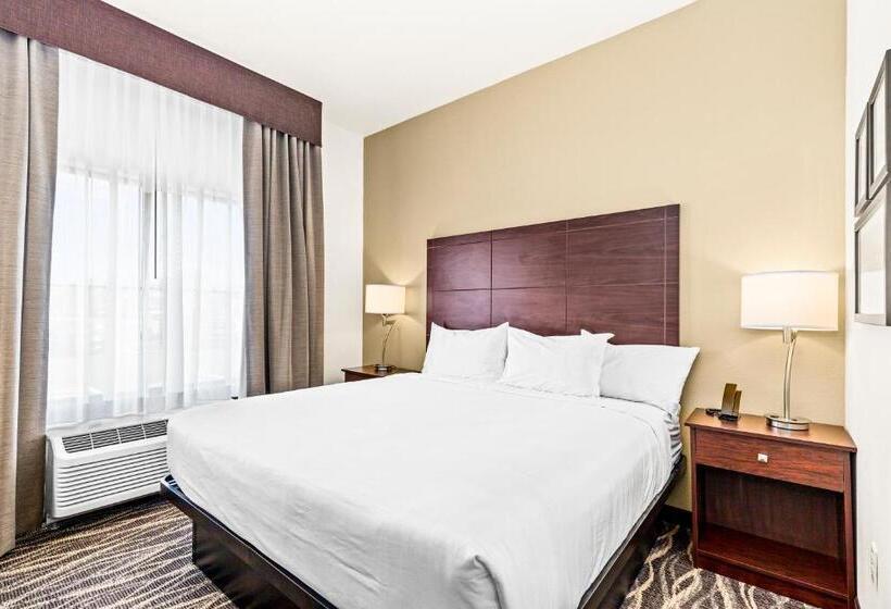 Номер Стандарт Кровать Кинг Адаптированный для Инвалидов, Cobblestone Hotel & Suites   Superior Duluth