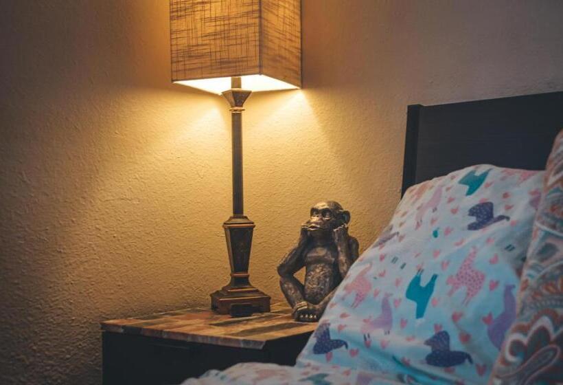 ファミリーステューディオ, Hollywood Light Haven Lodge