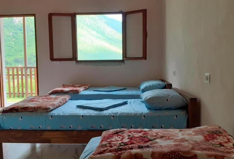 اتاق استاندارد, Driti Gh Nderlysa