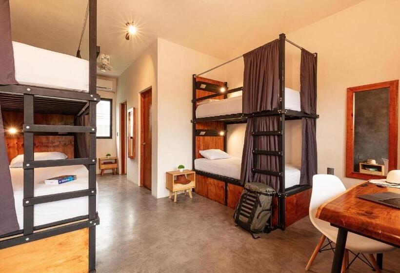 ルームシェアのワンベッド, Che Bacalar Hostel & Bar Adults Only