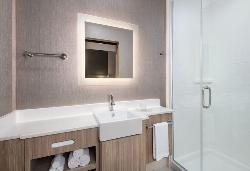 Люкс, Springhill Suites By Marriott Weatherford Willow Park