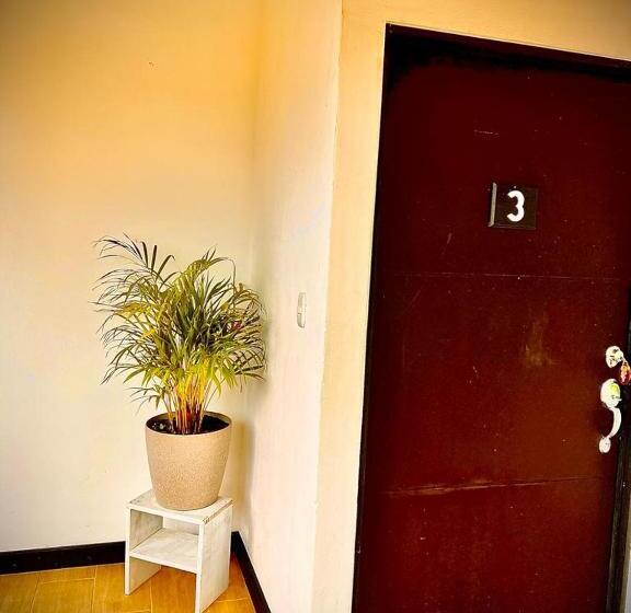 اتاق استاندارد, Budda Home