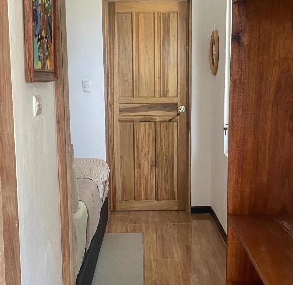 استودیوی استاندارد, Budda Home