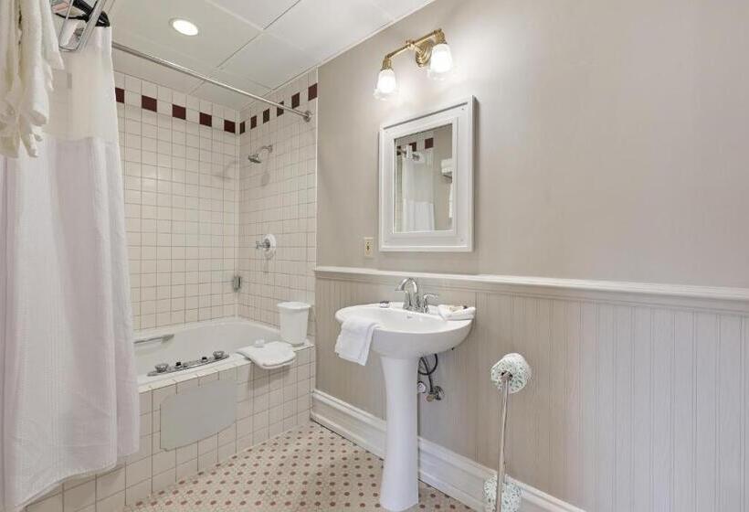 Номер Стандарт, The Audubon Inn Llc