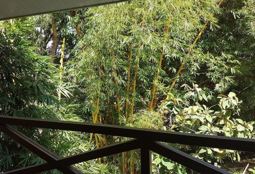 اتاق لوکس, Magic Mountain Lodge